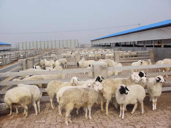 Сβ��������