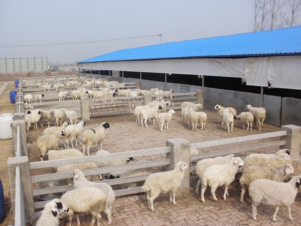 Сβ��������