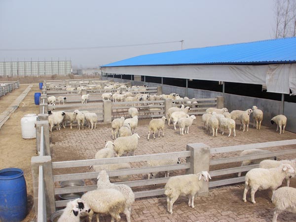 Сβ��������